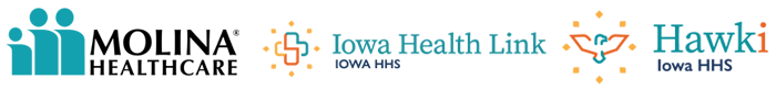 Iowa HHS Hawki logo