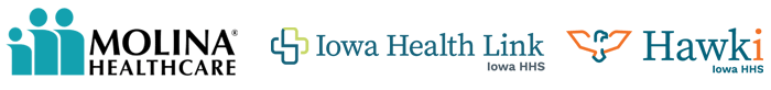 Iowa HHS Hawki logo